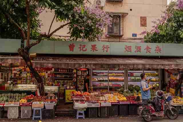 蘑菇视频下载——多元性能深挖对比秘籍